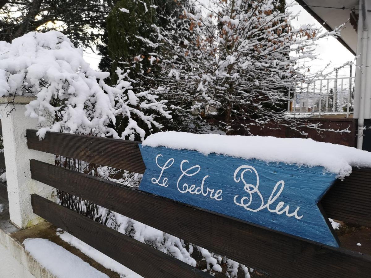 Le Cedre Bleu Hotel Saint-Michel-sur-Meurthe Bagian luar foto